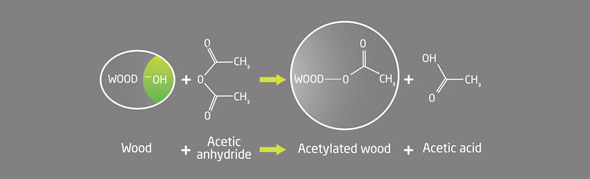 Diagramma Accoya