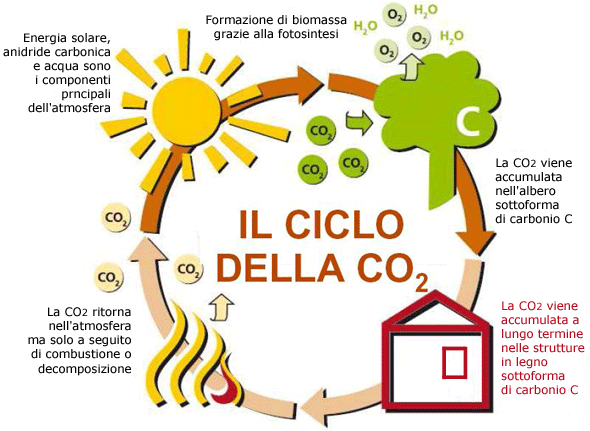 Ciclo della CO2